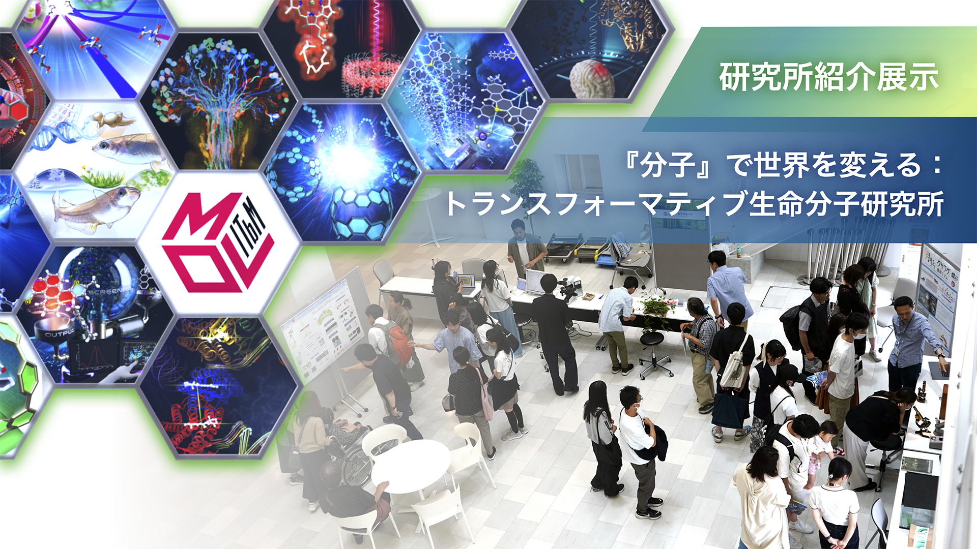 研究所紹介展示<br>「『分子』で世界を変える：<br>トランスフォーマティブ生命分子研究所」
