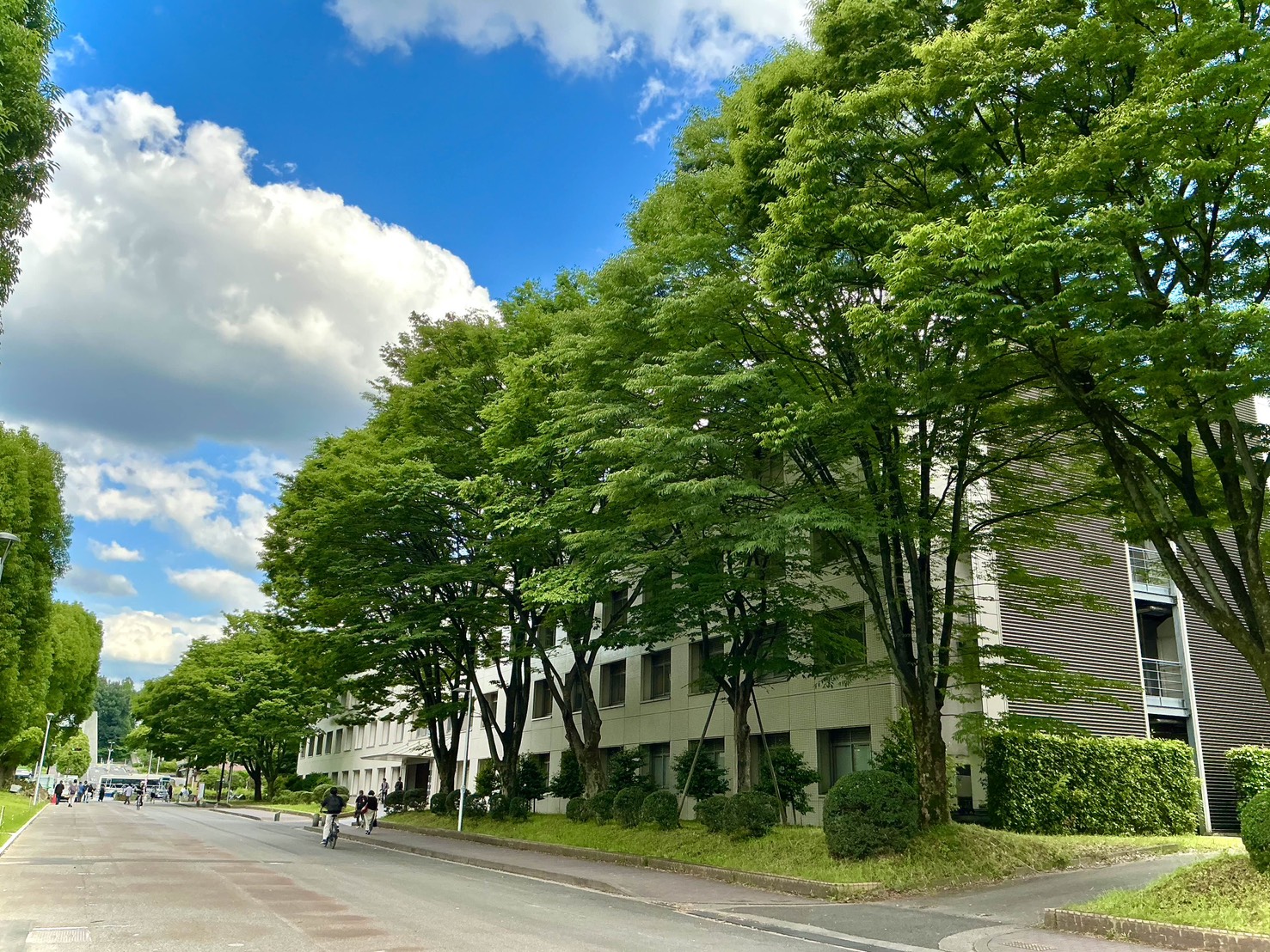 サテライト展示「名大の彩り　よりどりみどり」